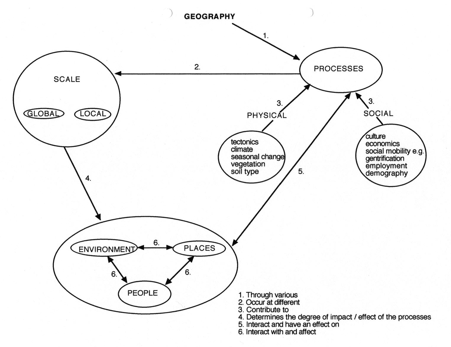 study guide concept mapping patterns of evolution